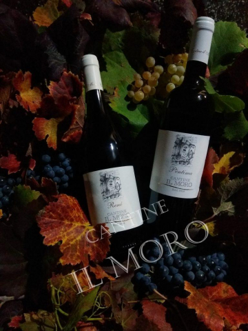 bottiglie di vino con foglie ed uva