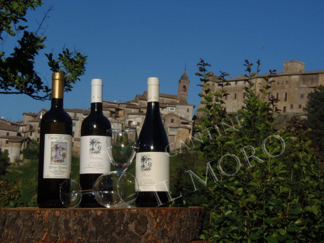 bottiglie di vino con veduta castello