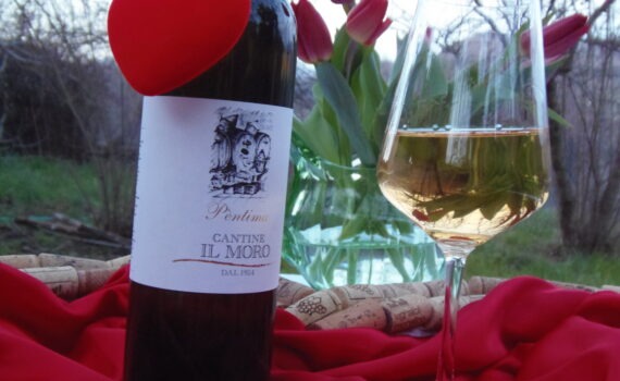 vino pentima giardino